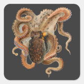  octopus Vulgaris, zeedieren Vierkante Sticker (Voorkant)