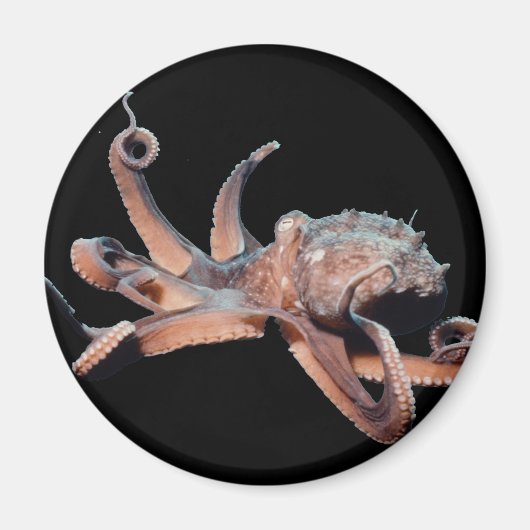 Octopus-Wild Thang Magneet (Voorkant)