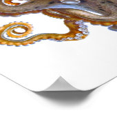 Octopus Zee - Afdrukken van creatief materiaal Poster (Hoek)