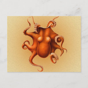 Octopus Zee Monster Creature Cephalapod  Briefkaart