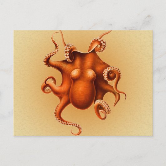Octopus Zee Monster Creature Cephalapod  Briefkaart (Voorkant)