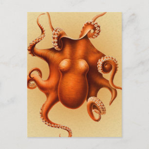 Octopus Zee Monster Creature Cephalapod  Briefkaart