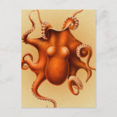 Octopus Zee Monster Creature Cephalapod  Briefkaart (Voorkant)