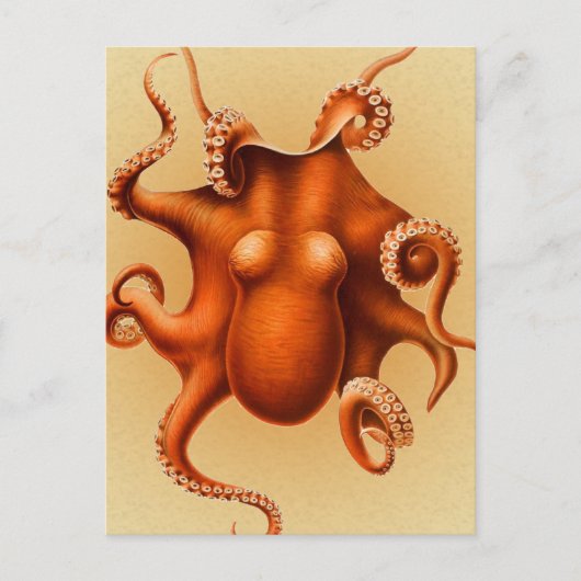 Octopus Zee Monster Creature Cephalapod  Briefkaart (Voorkant)
