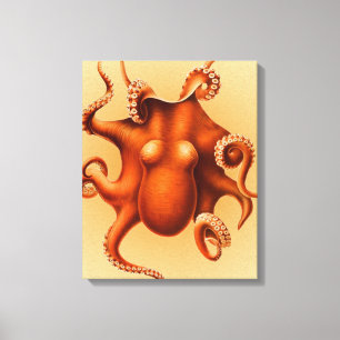 Octopus Zee Monster Creature Cephalapod Canvas Afdruk