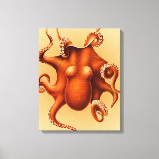 Octopus Zee Monster Creature Cephalapod Canvas Afdruk (Voorkant)