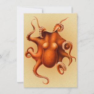 Octopus Zee Monster Creature Cephalapod  Kaart
