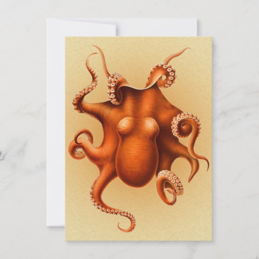 Octopus Zee Monster Creature Cephalapod  Kaart (Voorkant)