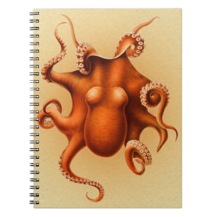 Octopus Zee Monster Creature Cephalapod Notitieboek