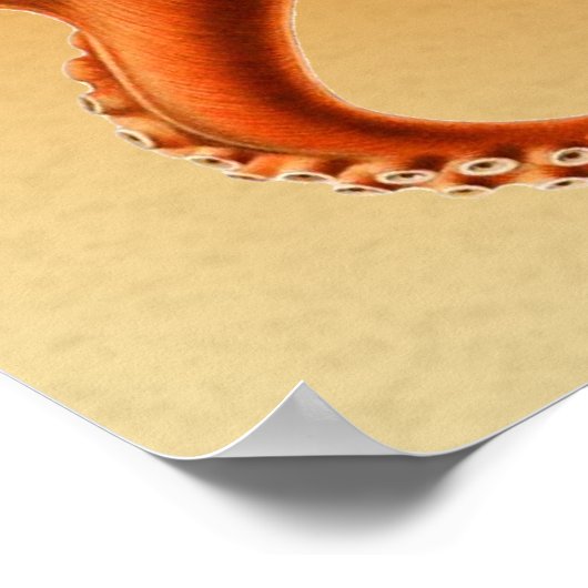 Octopus Zee Monster Creature Cephalapod  Poster (Hoek)