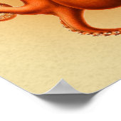 Octopus Zee Monster Creature Cephalapod  Poster (Hoek)