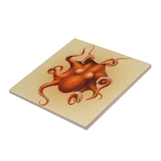 Octopus Zee Monster Creature Cephalapod Tegeltje (Zijkant)
