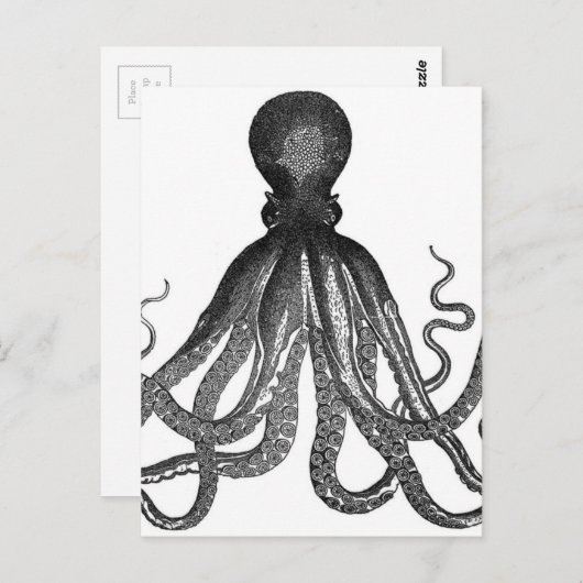  Octopus Zee Ocean Animal Briefkaart (Voorkant / Achterkant)