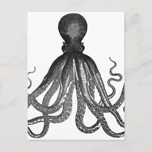  Octopus Zee Ocean Animal Briefkaart (Voorkant)