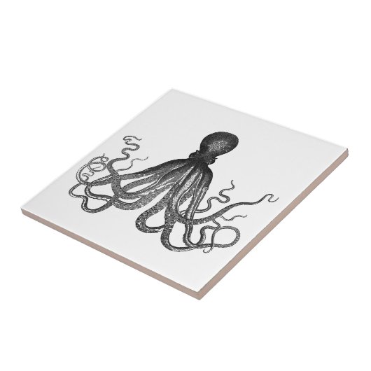 Octopus Zee Ocean Animal Tegeltje (Zijkant)