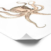 Octopus Zee, strand, neuskamer Foto Afdruk (Hoek)