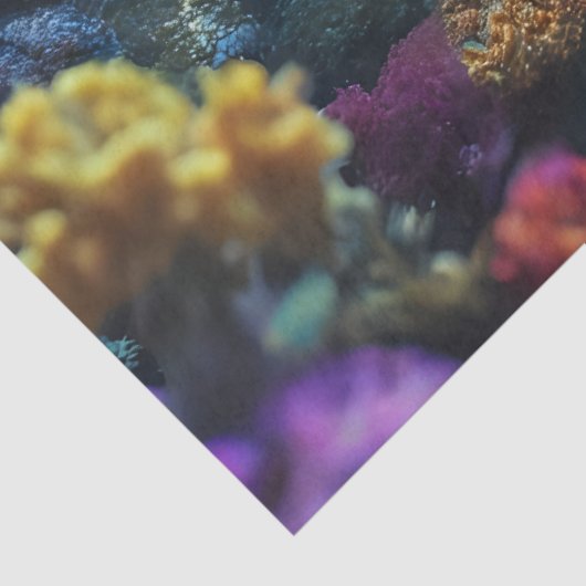 Octopus Zee tissuepapier (Detail)