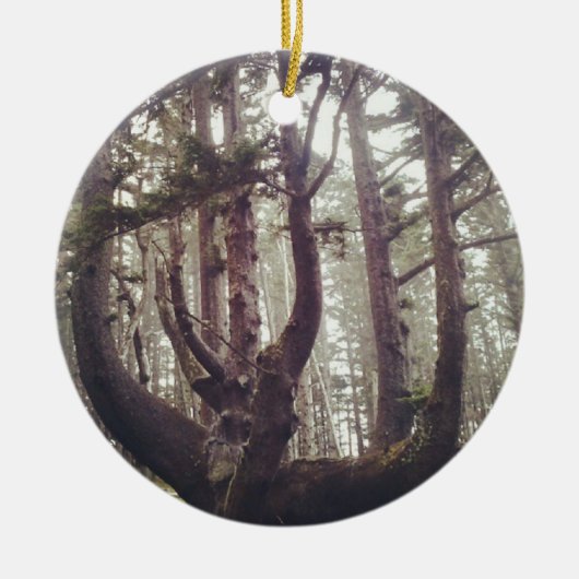 Octopusboom, Cape Meares, Oregon Keramisch Ornament (Voorkant)