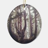 Octopusboom, Cape Meares, Oregon Keramisch Ornament (Links)