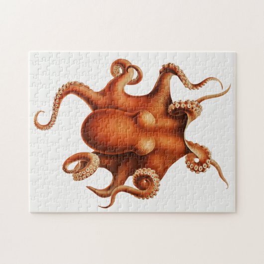  octopusillustratie legpuzzel (Horizontaal)