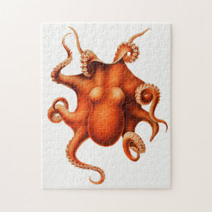  octopusillustratie legpuzzel
