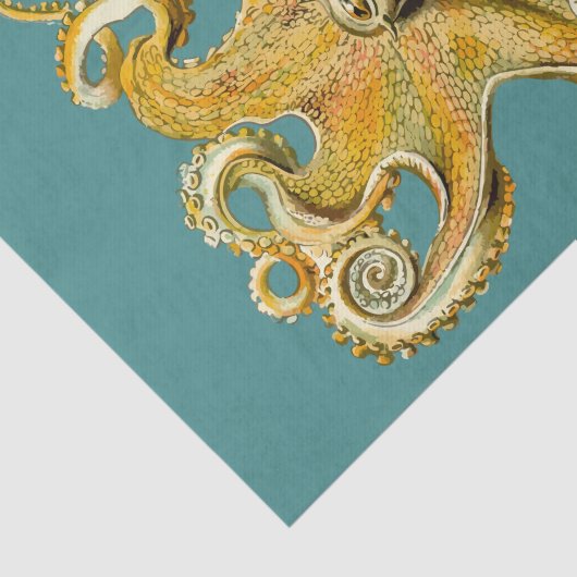 octopustissuepapier tissuepapier (Detail)