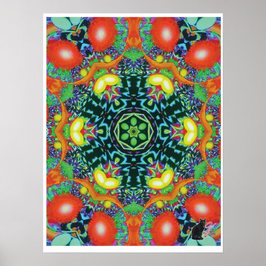 Oculair Kinesthetisch Collage Kaleidoscoop Poster (Voorkant)