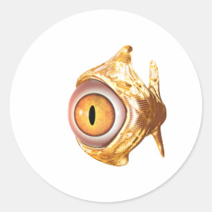 oculair ronde sticker