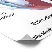 Oculaire herpes-infectie, met de vermelding diagra poster (Hoek)