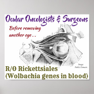 Oculaire oncologen/Surgeons R/O Wolbachia per Roos Poster