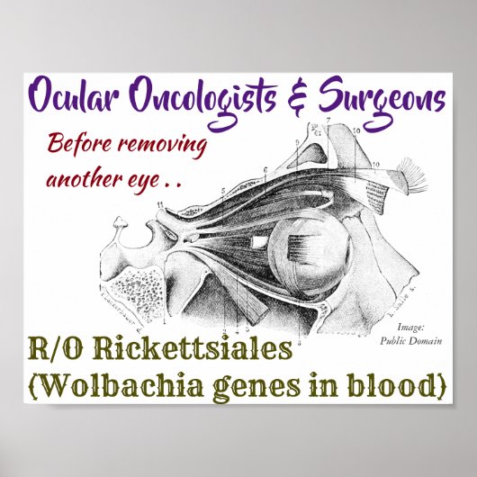 Oculaire oncologen/Surgeons R/O Wolbachia per Roos Poster (Voorkant)
