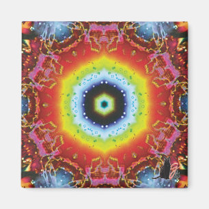 Oculus caleidoscoopmagneet magneet