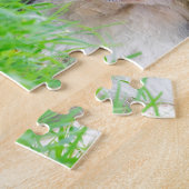 Odd-collie aan de rand van het gras.JPG Legpuzzel (Zijkant)