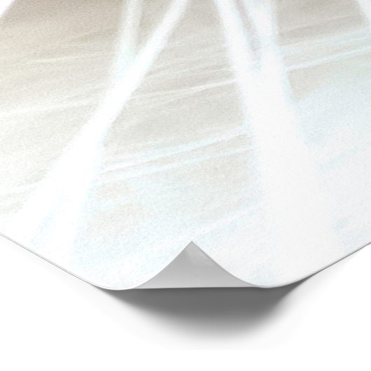 Odd-Eyed White Persian Cat Poster (Hoek)