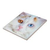 Odd-Eyed White Persian Cat Tegeltje (Zijkant)