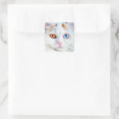 Odd-Eyed White Persian Cat Vierkante Sticker (Tas)