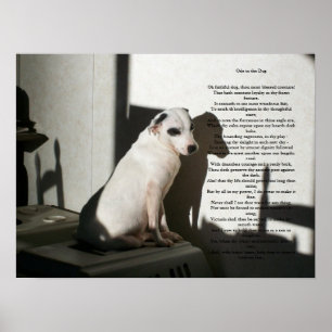 Ode aan de hond poster