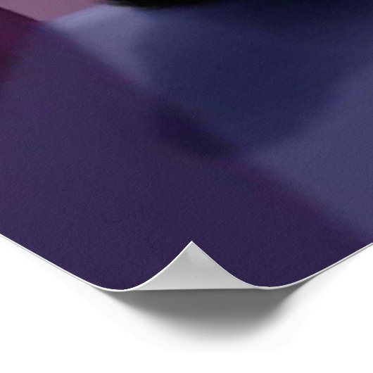 Ode aan een zwarte kat poster (Hoek)