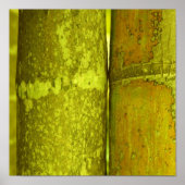 Ode naar Bamboo Poster (Voorkant)