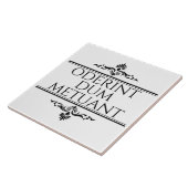 Oderint Dum Metuant Tegeltje (Zijkant)