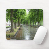 Odessa Park (3) Muismat (Met muis)