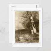 Odilon Redon #565 - Kunstmatig Briefkaart (Voorkant / Achterkant)