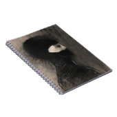 Odilon Redon. Armor. Donkere vrouw gezicht. symbol Notitieboek (Rechterzijde)