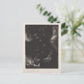 Odilon Redon-Inhabitants of countries of the Ocean Briefkaart (Staand voorkant)