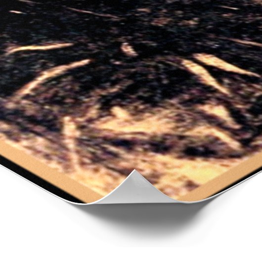 Odilon Redon - Oogballon Poster (Hoek)