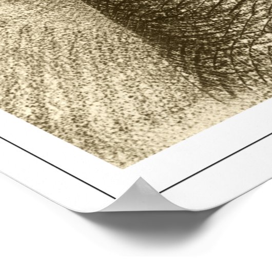 Odilon Redon Zedign Art Poster #101 (Hoek)