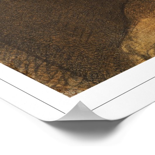 Odilon Redon Zedign Art Poster #264 (Hoek)