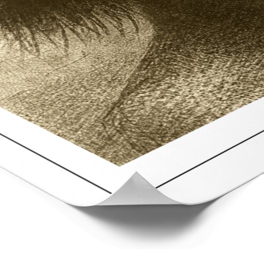 Odilon Redon Zedign Art Poster #496 (Hoek)