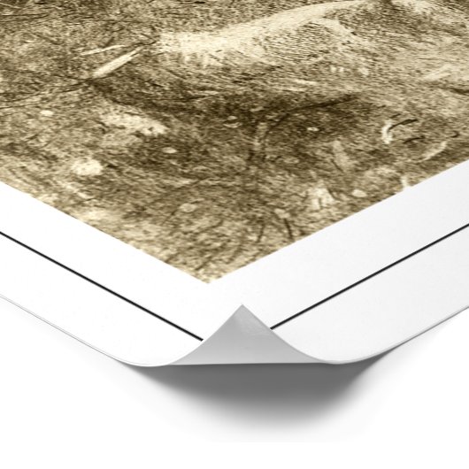 Odilon Redon Zedign Art Poster #565 (Hoek)