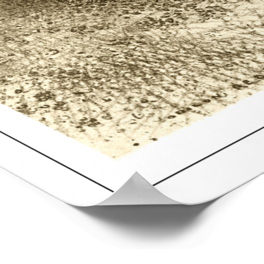 Odilon Redon Zedign Art Poster #675 (Hoek)